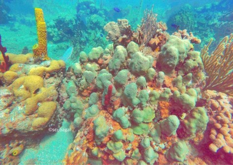 Colour Corrected, 90 feet below surface level