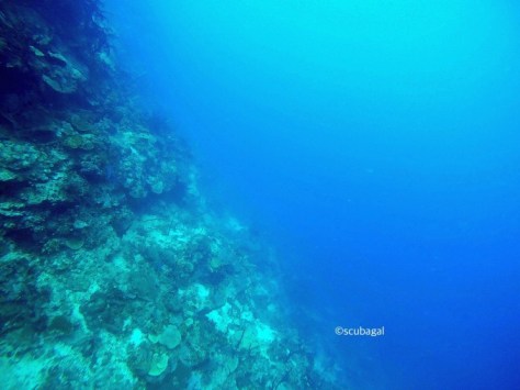 The Deeper You Go, The Colours Fade