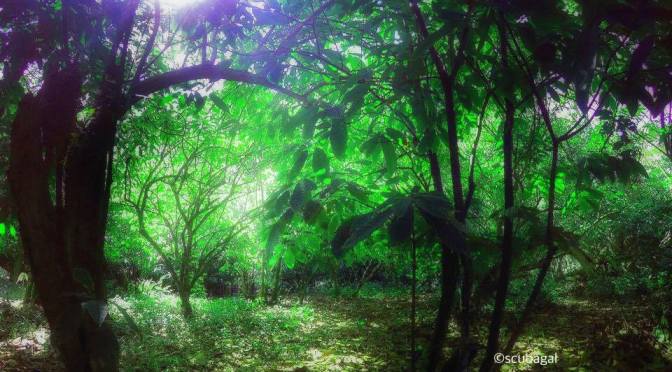 Landscapes of the Dominican Republic