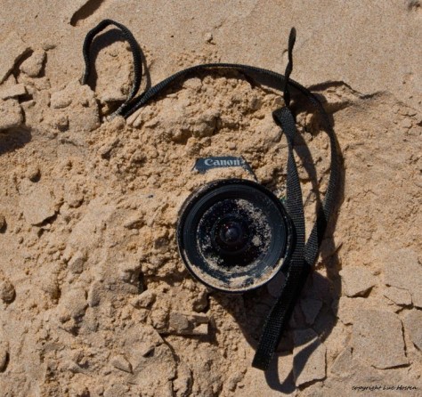 Photo Credit: api.ning.com